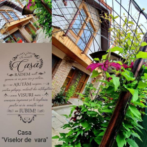 Casa Viselor de vară